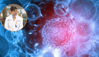 Los principales virus emergentes que estarán bajo la lupa científica en 2026, según un investigador