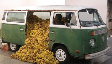 La escultura se expande en el Herreriano que apuesta por Esther Gatón y Miquel Mont
