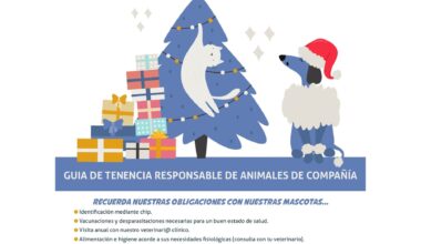 Medio Ambiente recuerda la importancia de la tenencia responsable de animales de compañía