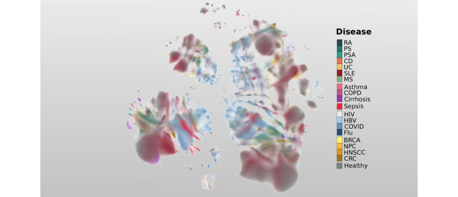 Crean el primer atlas celular de la inflamación que utiliza IA para acelerar el diagnóstico de enfermedades inflamatorias