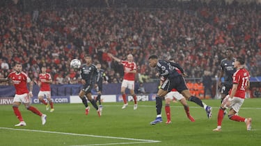 Dos doradas excepciones