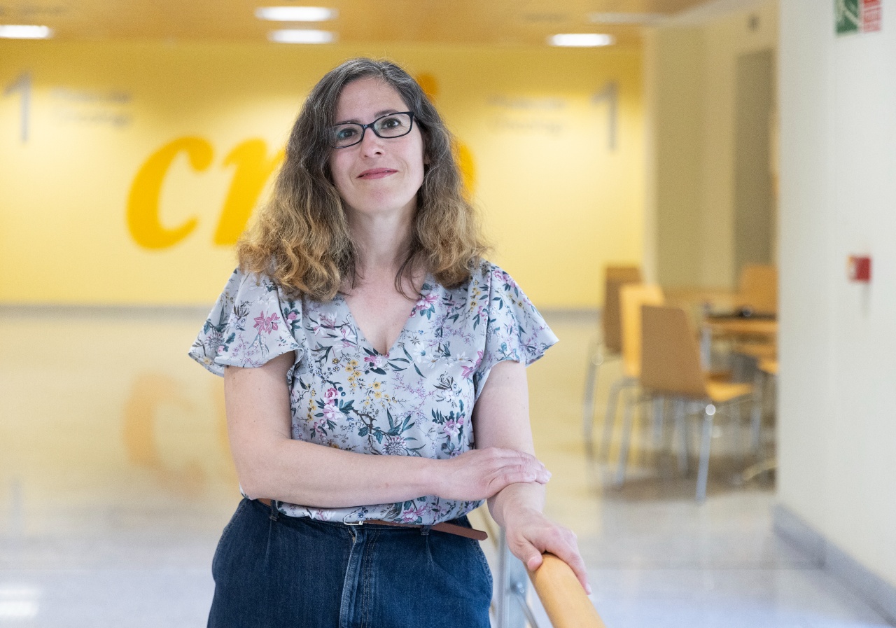 Cómo las células más agresivas del cáncer de páncreas escapan a nuestras defensas