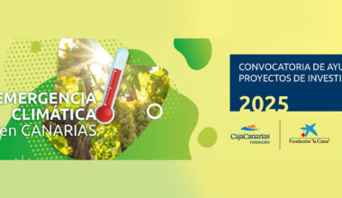 Ayudas a Proyectos de Investigación 2025