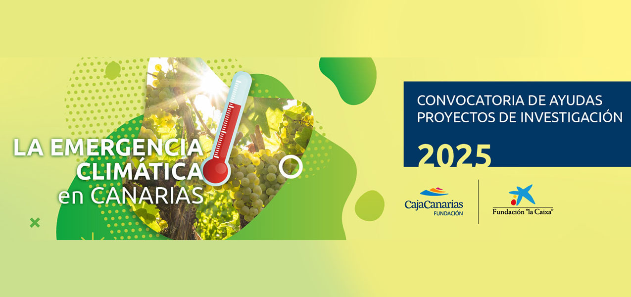 Ayudas a Proyectos de Investigación 2025