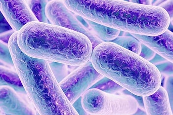 Los resultados sugieren una relación