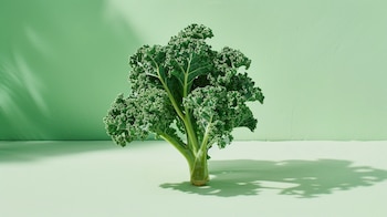 Su consumo regular beneficia a