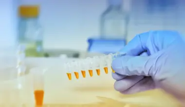 Siete biomarcadores pueden revelar el riesgo de multimorbilidad a través de un análisis de sangre  