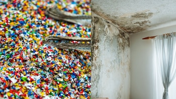 Los microplásticos, metales pesados, moho