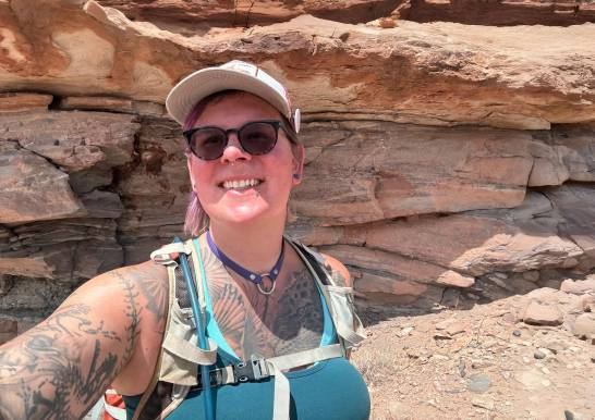 La extinción de los dinosaurios fue lo trágico en la Tierra