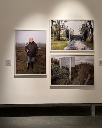 Imágenes que construyen una red