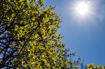 Pasar tiempo al aire libre