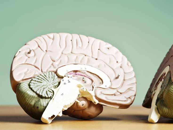 Imaginar experiencias positivas cambia la forma en que vemos a otras personas y modifica la actividad cerebral, revela estudio