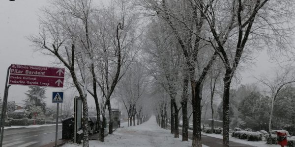 Recomendaciones generales ante las inclemencias invernales