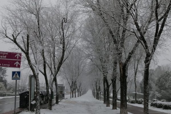 Recomendaciones generales ante las inclemencias invernales
