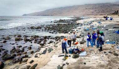 Defensoria del Pueblo Peru