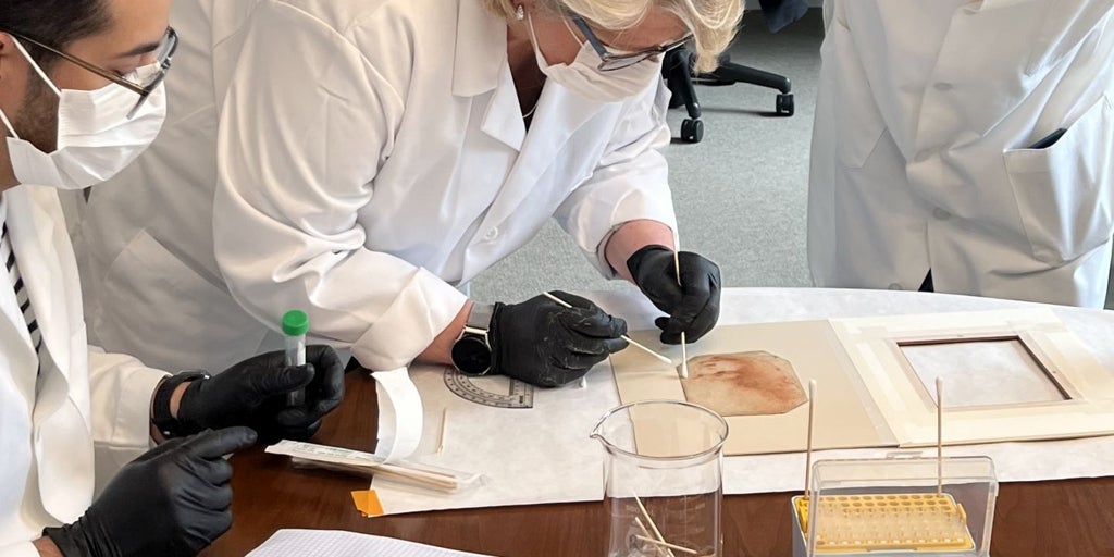 El dibujo en tiza que podría guardar el secreto del ADN de Leonardo da Vinci