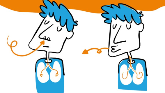 Para pacientes con infecciones respiratorias