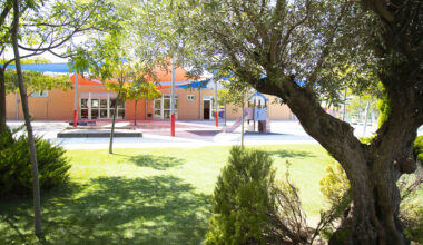 Luz verde a la climatización de colegios y a las obras del paseo de las Provincias