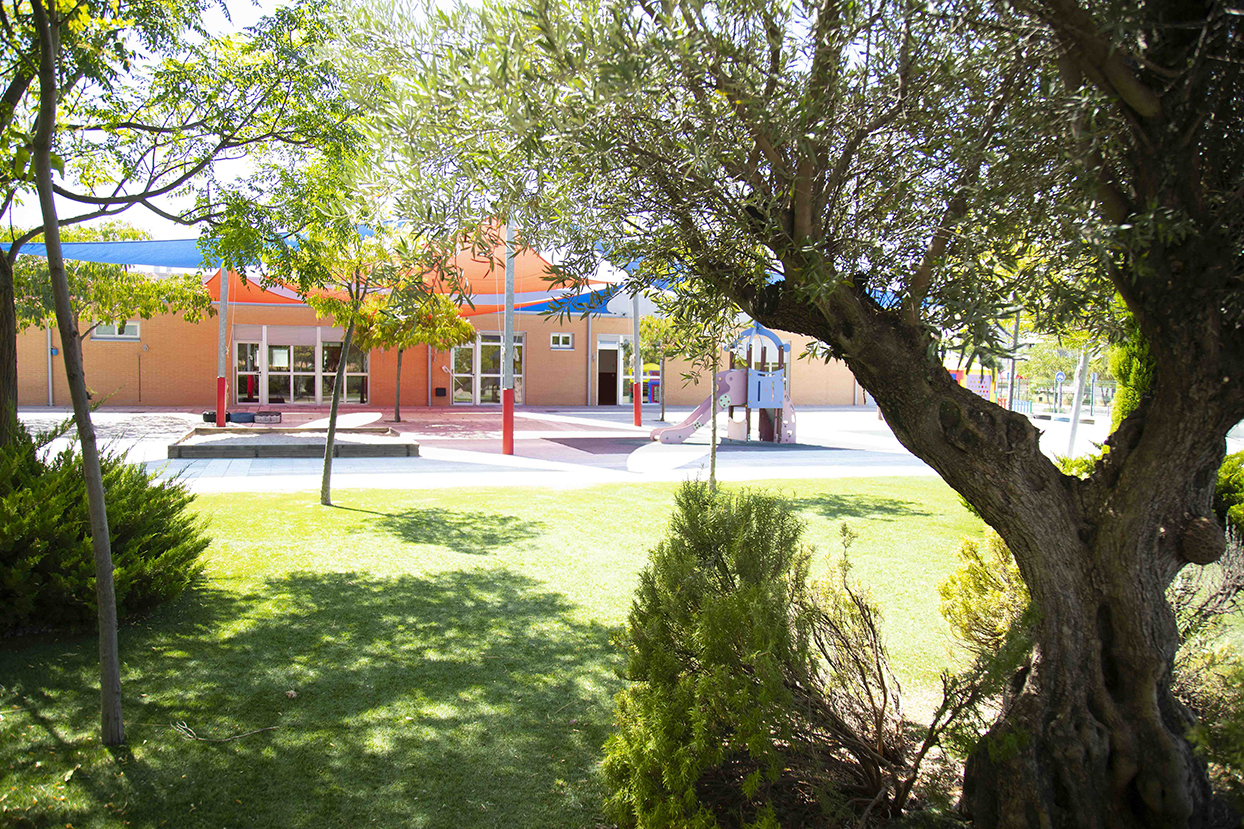 Luz verde a la climatización de colegios y a las obras del paseo de las Provincias