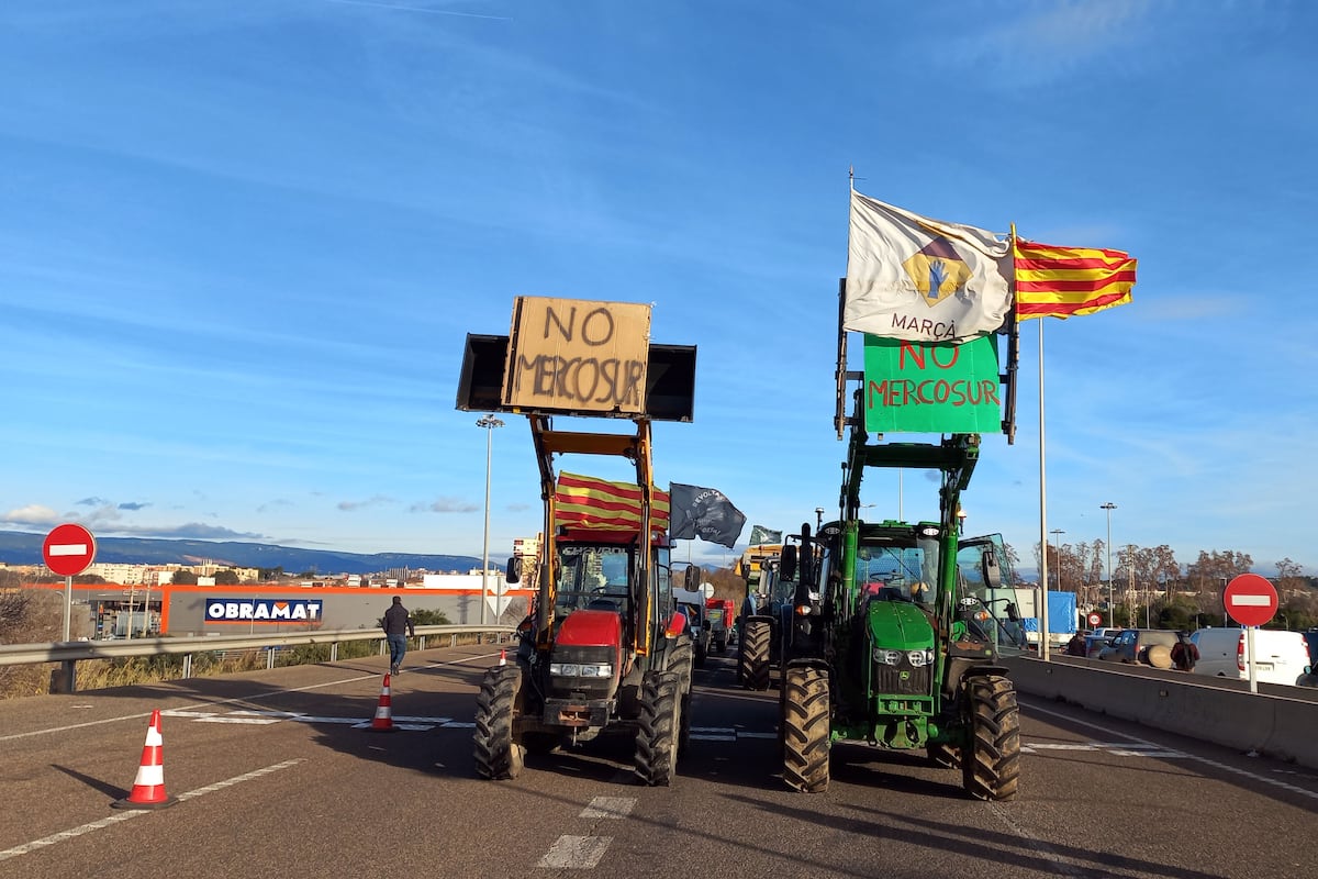 Ganadores y perdedores del acuerdo de libre comercio entre la UE y Mercosur | Economía