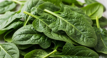 Las verduras de hoja verde