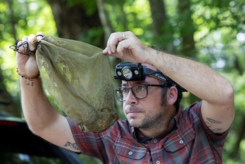 Un estudio en Florida reveló