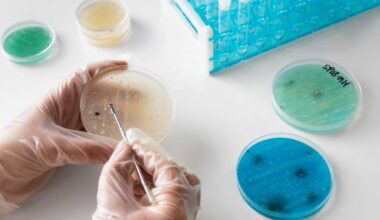 ¿Cómo influye la edad en la respuesta inmunitaria?