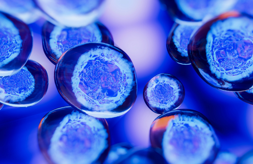 Las biopsias líquidas permiten analizar células tumorales circulantes o ADN tumoral libre en diferentes fluidos, como la orina, en el caso del cáncer de vejiga.