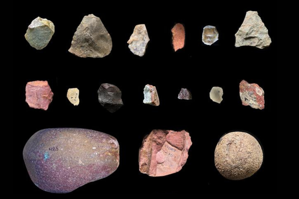 Los homínidos transportaban piedras a largas distancias antes de lo esperado Los homínidos transportaban piedras a largas distancias antes de lo esperado