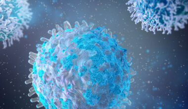 Un estudio conecta la plasticidad de los linfocitos B con el desarrollo de linfoma. Imagen: Adobe Express.