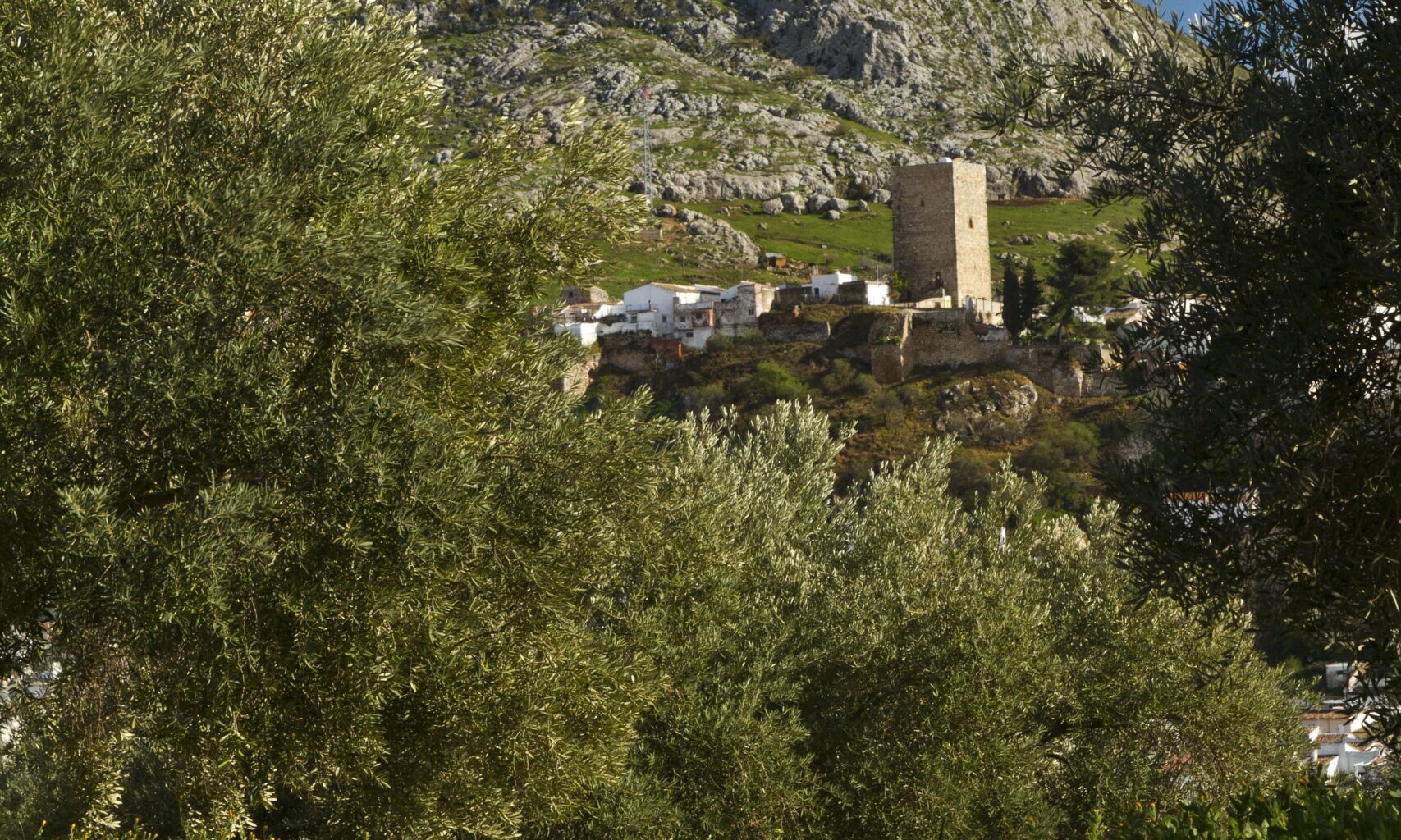 Martos se adherirá a la Plataforma Inteligente de Destino - Ayuntamiento de Martos