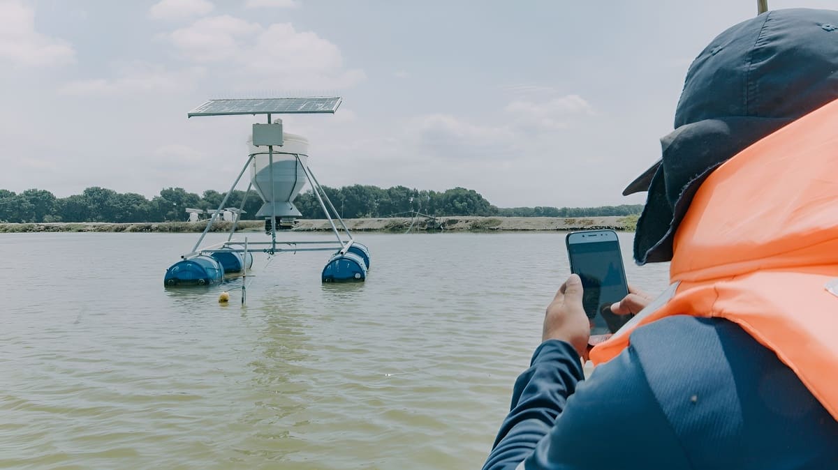 Nueva Pescanova aplica herramienta IA para optimizar la producción de surimi y camarón de cultivo - Pescare