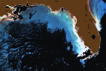 El Gran Cinturón de Sargazo