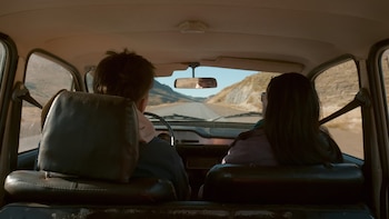 'Forest up in the Mountain',