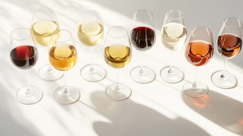 Las bodegas de Mendoza y