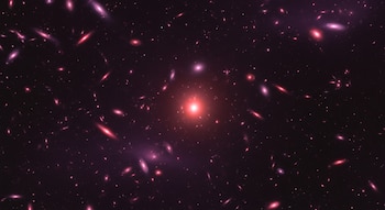 El equipo de la Universidad