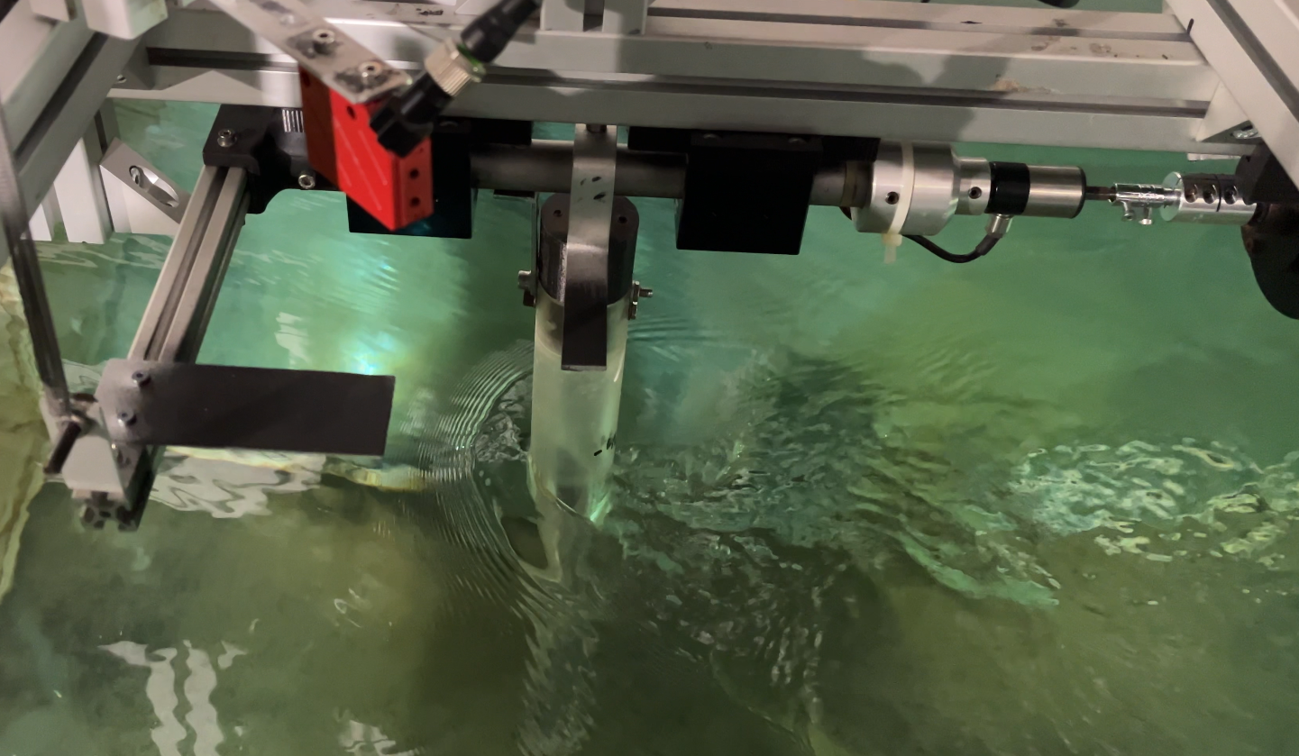 Un sistema basado en un péndulo permite extraer energía de corrientes marinas