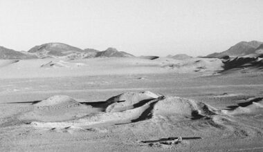 ensayar la mirada en tiempos de exceso visual