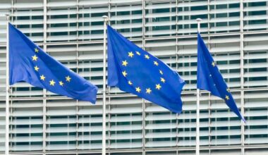 Todos los países miembros de la UE, excepto Hungría, emiten un comunicado en el que piden calma y diálogo para evitar una escalada en Venezuela | Internacional