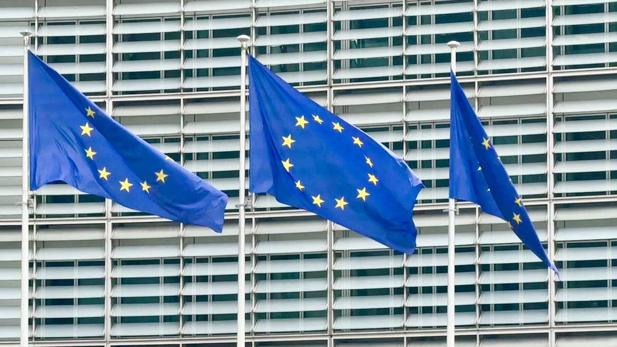 Todos los países miembros de la UE, excepto Hungría, emiten un comunicado en el que piden calma y diálogo para evitar una escalada en Venezuela | Internacional