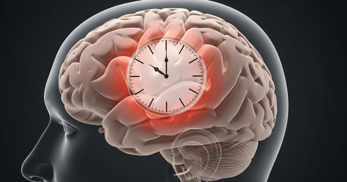 Los horarios estables de sueño y actividad protegen la salud cerebral y previenen la demencia, según un estudio