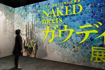 La exposición 'Volver a los