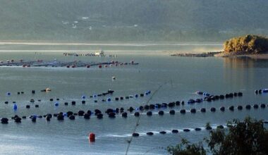 Subpesca avanza en el desarrollo de estrategias de economía circular para la pesca y la acuicultura