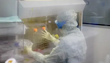 Avances y estrategias contra el cáncer en 2026