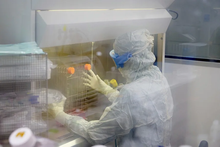 Avances y estrategias contra el cáncer en 2026