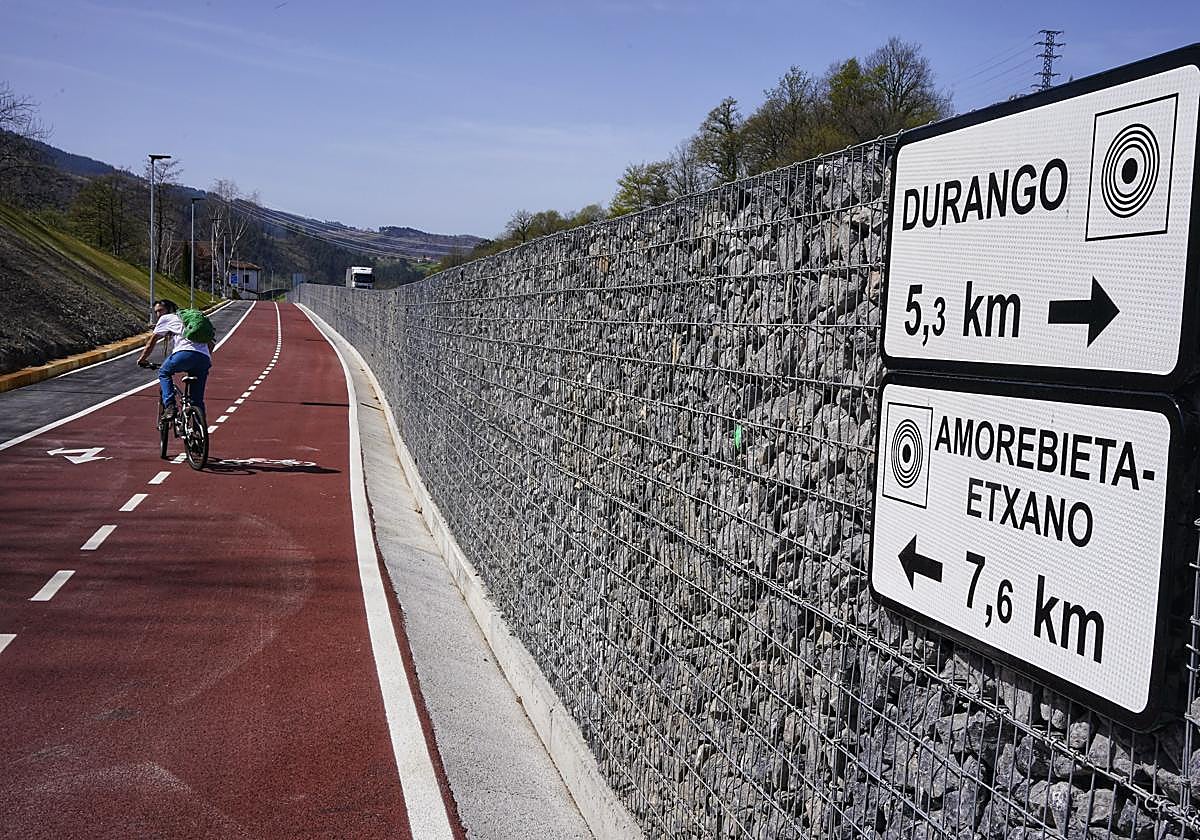 «La mayoría de ciclistas siguen yendo por la carretera y no por la bicipista»
