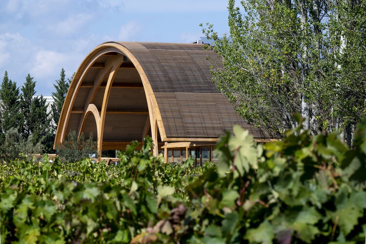 Bodegas Faustino Winery / Foster + Partners - Fotografía exterior