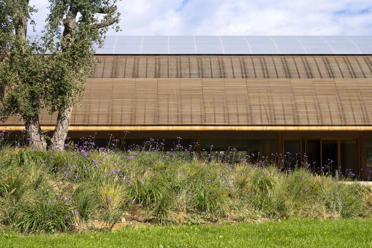 Bodegas Faustino Winery / Foster + Partners - Imagen 7 de 16