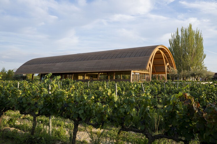 Bodegas Faustino Winery / Foster + Partners - Fotografía exterior, Ventanas
