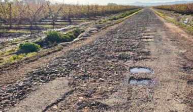caminos danos lluvias marzo 2025 1